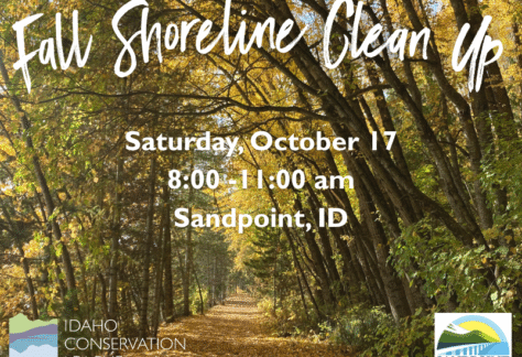 Fall Shoreline Cleanup with ICL promotional artwork