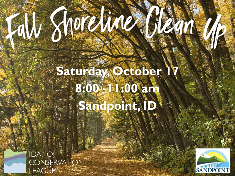 Fall Shoreline Cleanup with ICL promotional artwork